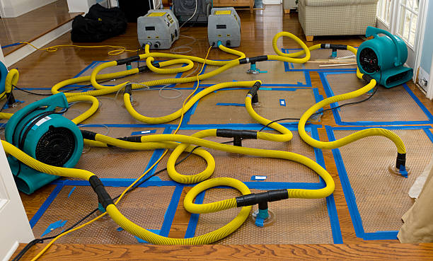 Professional Burst Pipe Water Damage technician working in Quitaque, TX